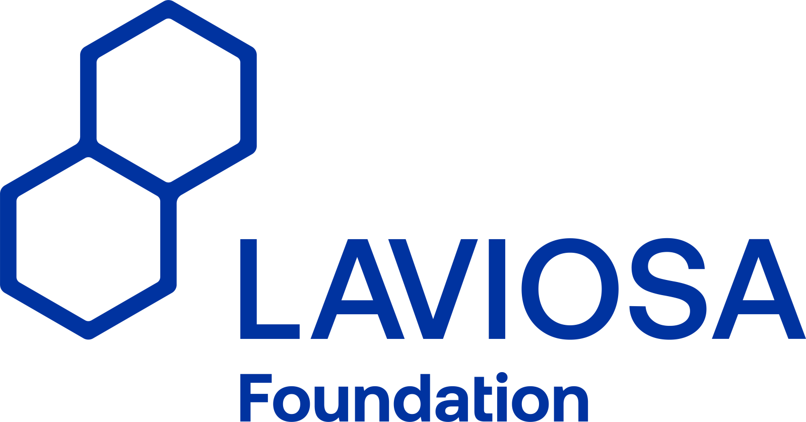 Fondazione Laviosa