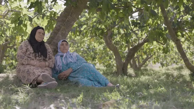 Un fotogramma dal film "Il frutto della tarda estate"